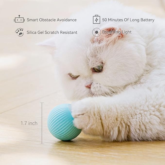 PawChase Pro™